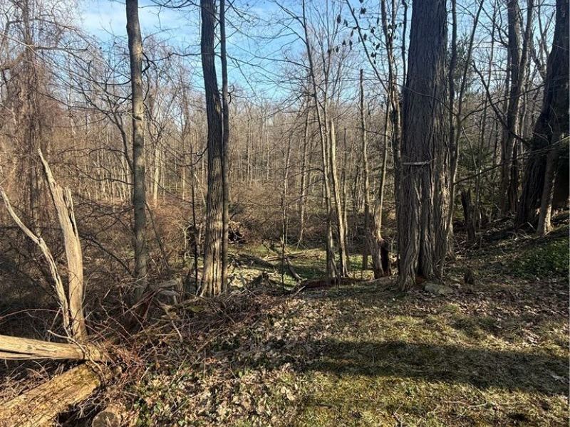 10076 Sherman Road , Chesterland, OH 44026 Photo 18