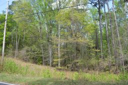 2120 Tickle Hill Road photo 4