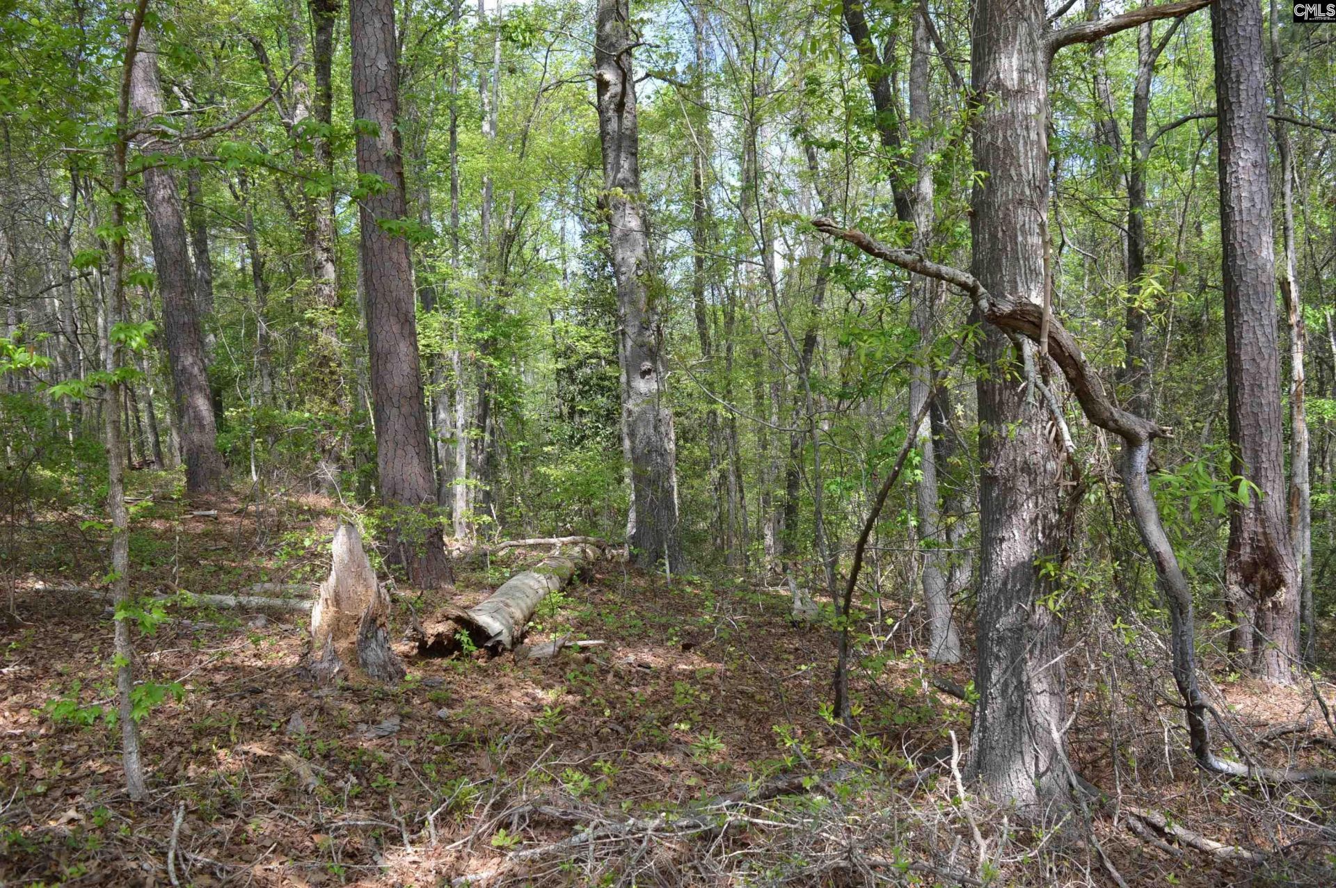 2120 Tickle Hill Road Photo 5