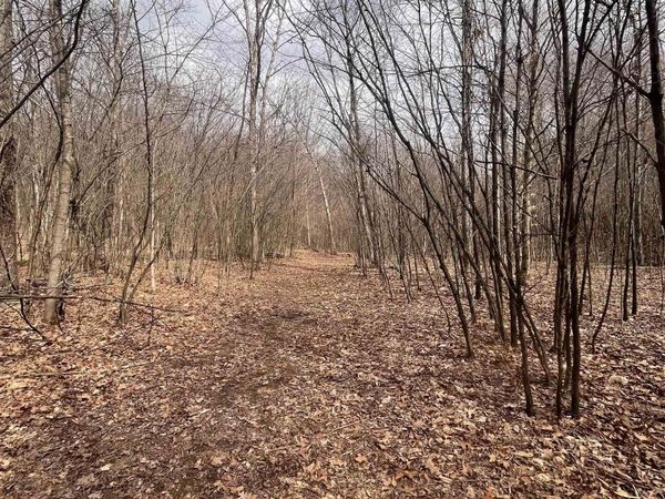 TBD Sugar Valley Road, Bruceton Mills, WV 26525