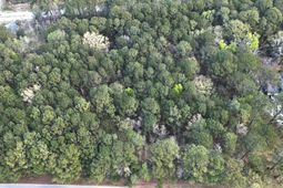 00 Clemants Ferry  photo 4