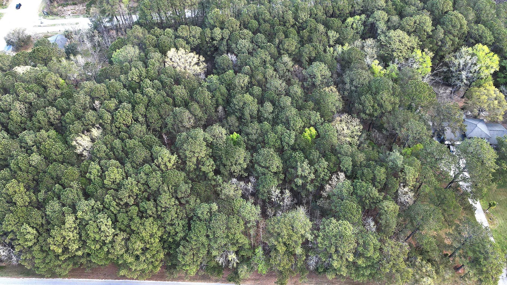 00 Clemants Ferry  Photo 4