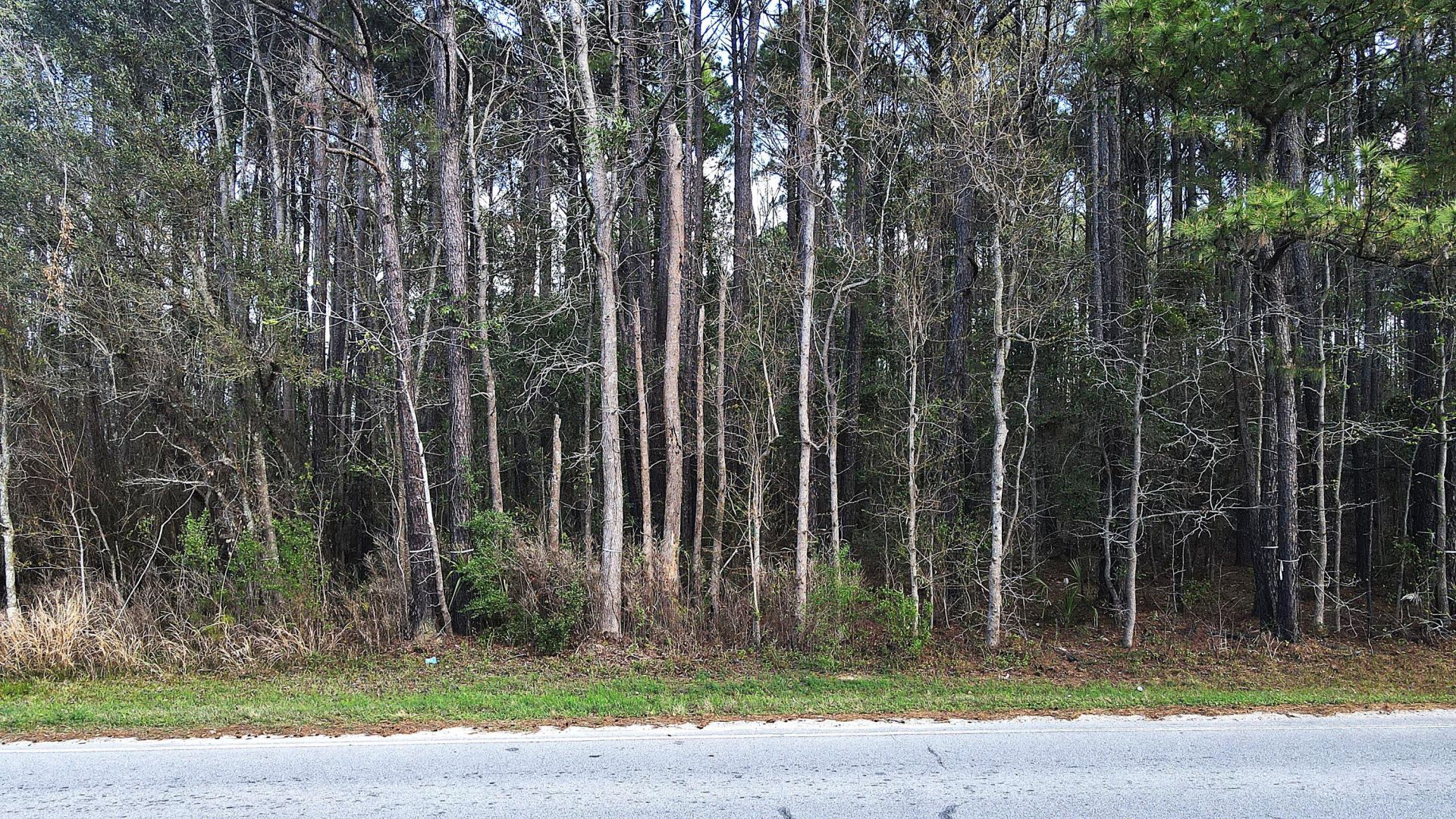 00 Clemants Ferry Photo 6