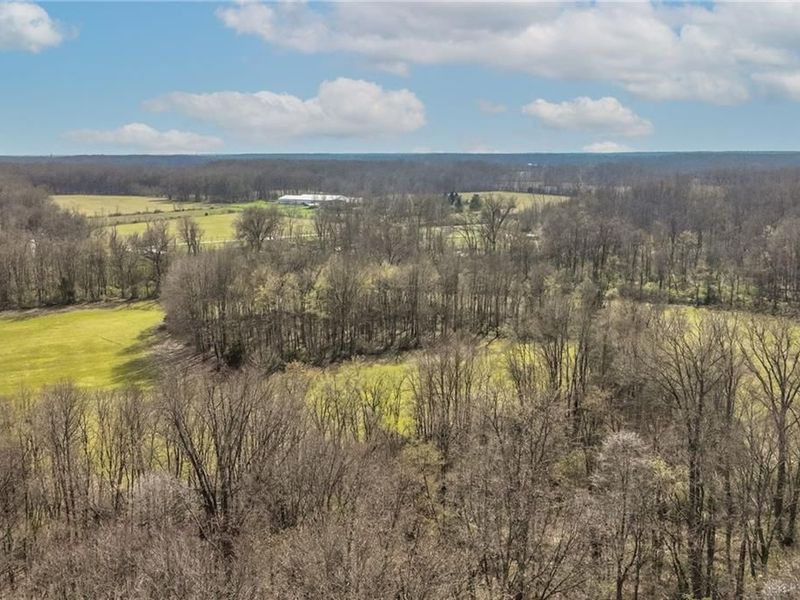 11899 Blackshire Road, Hamersville, OH 45130 Photo 12