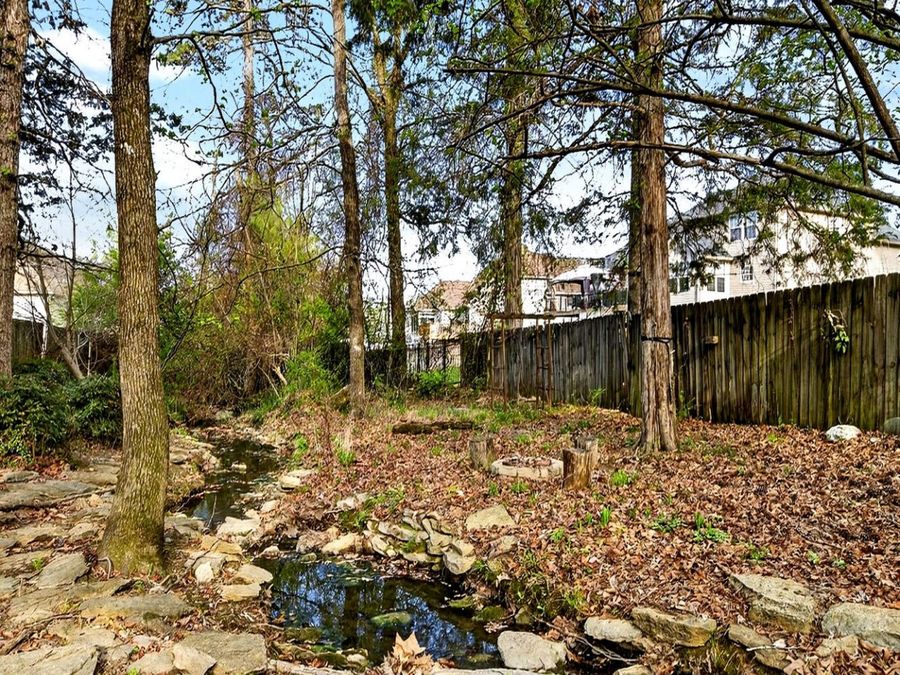 Property Image 59