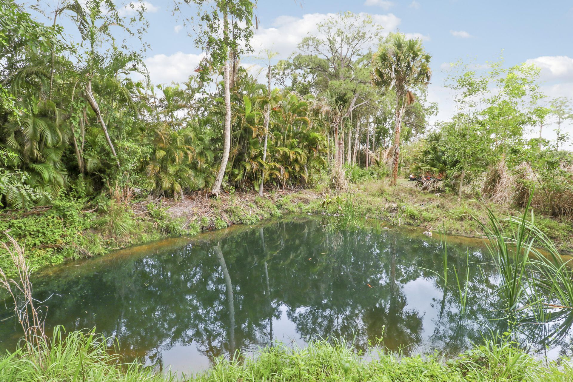 16683 N 64th Pl Place N, Loxahatchee, FL 33470 Photo