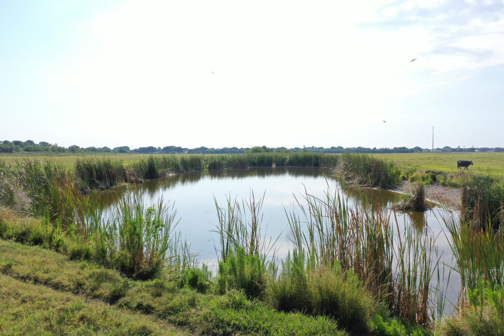 0 SW 28th Street, Okeechobee, FL 34974 Photo