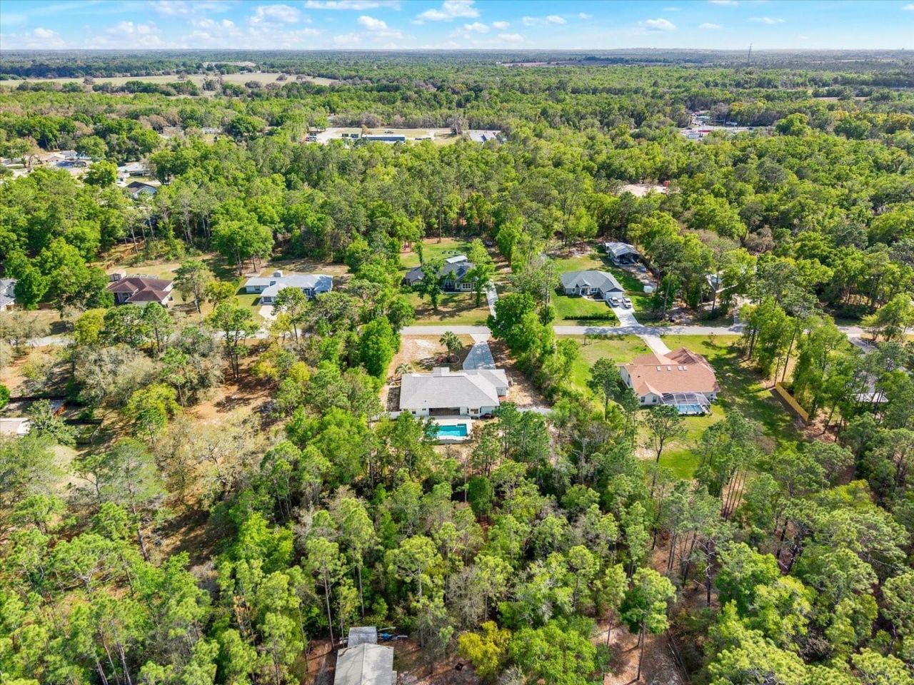 1155 E Bluebird Court , Hernando, FL 34442 Photo