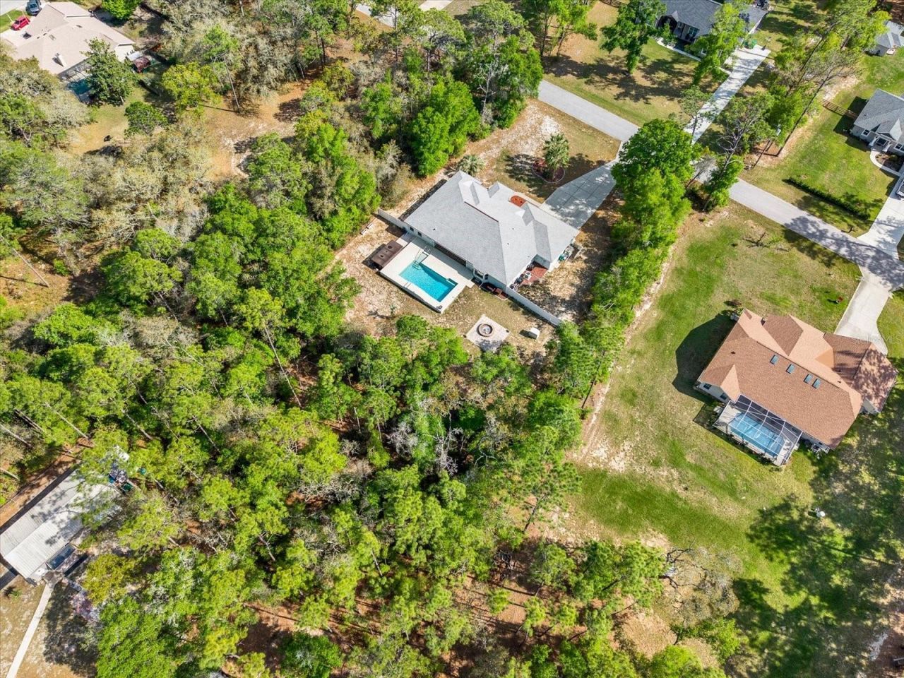 1155 E Bluebird Court , Hernando, FL 34442 Photo