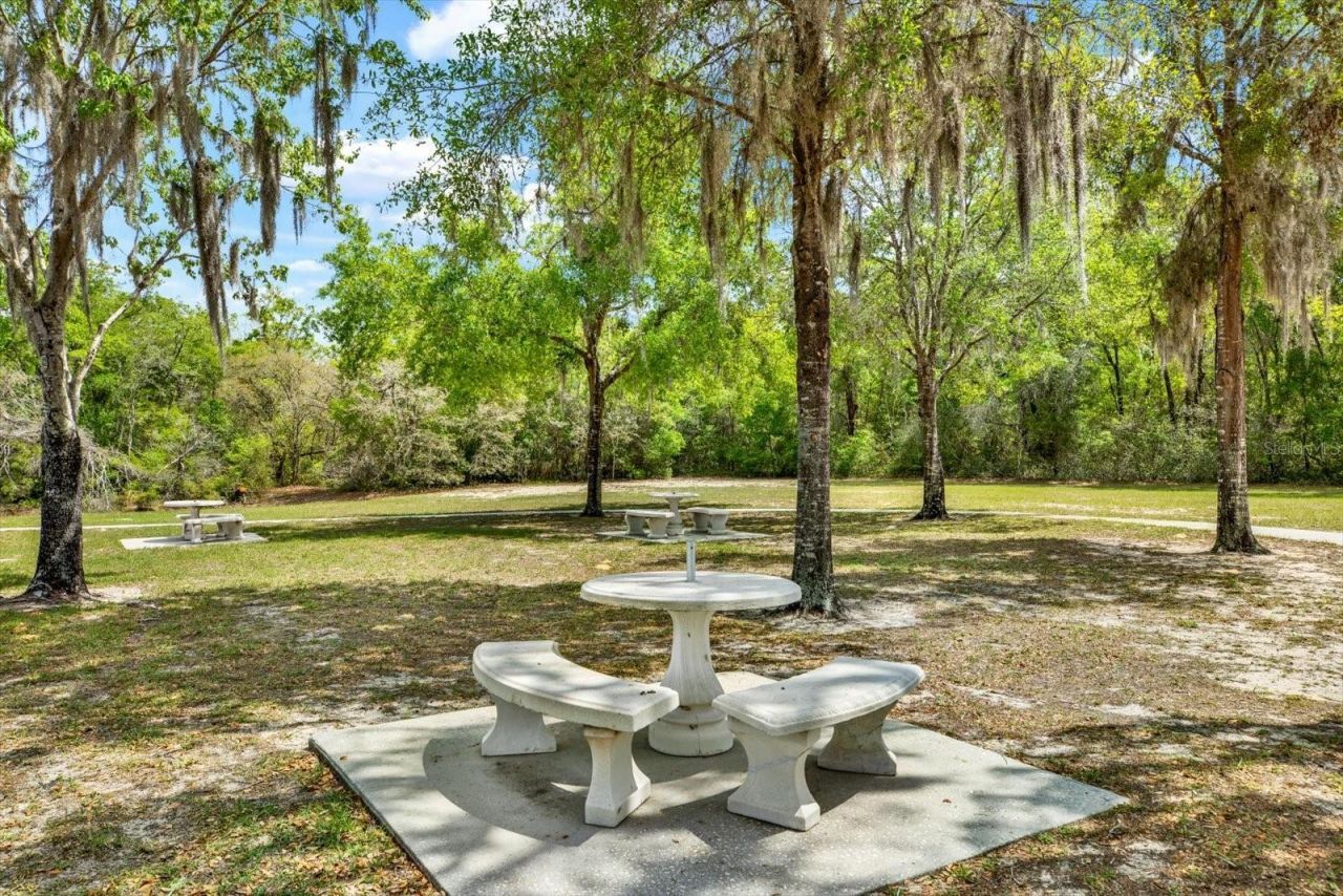 1155 E Bluebird Court, Hernando, FL 34442 Photo