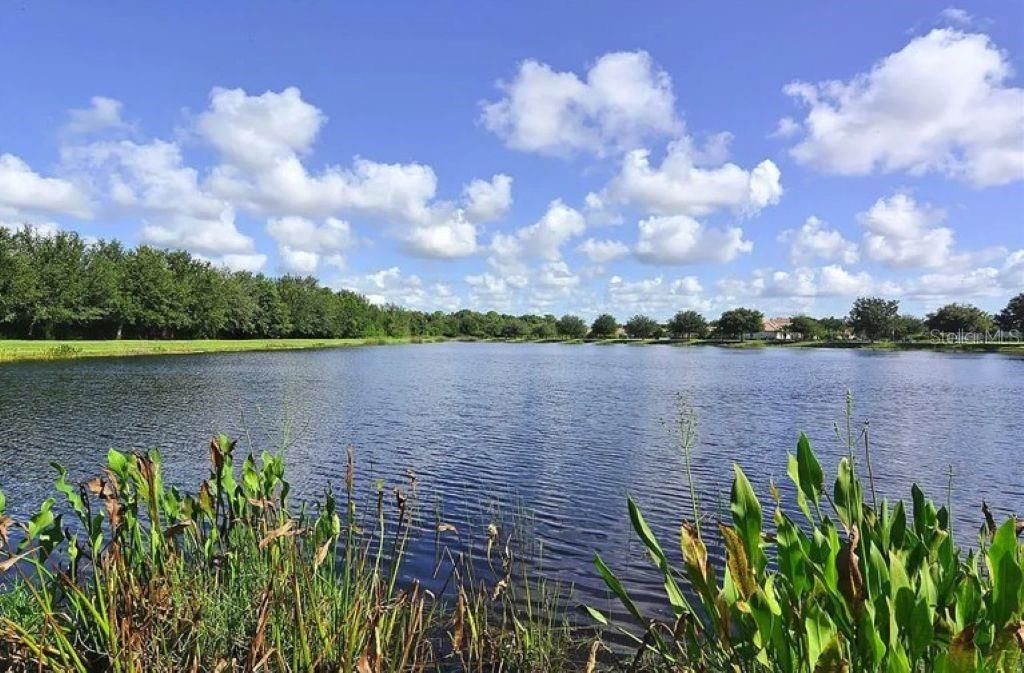 12022 Goldenrod Avenue, Bradenton, FL 34212 Photo