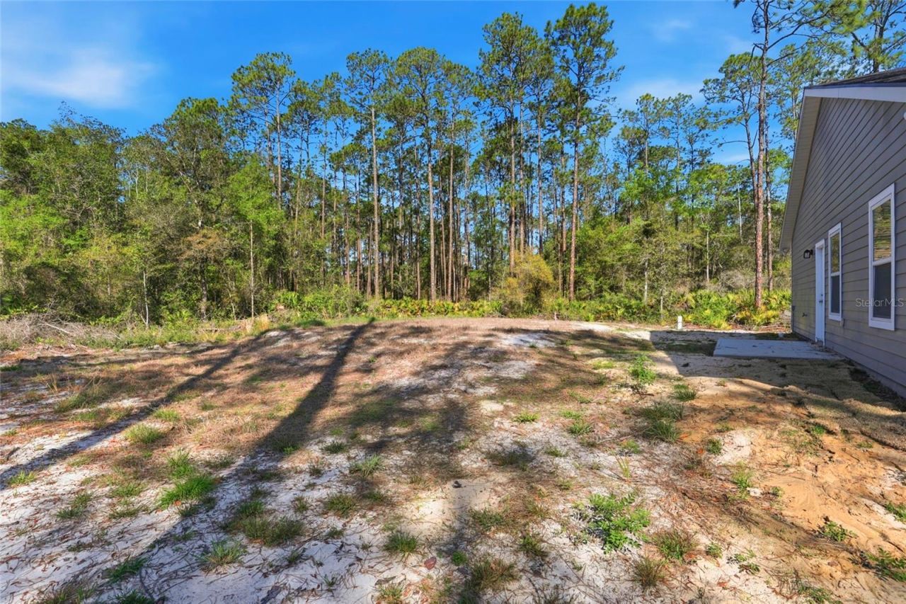 103 Long Road, Interlachen, FL 32148 Photo