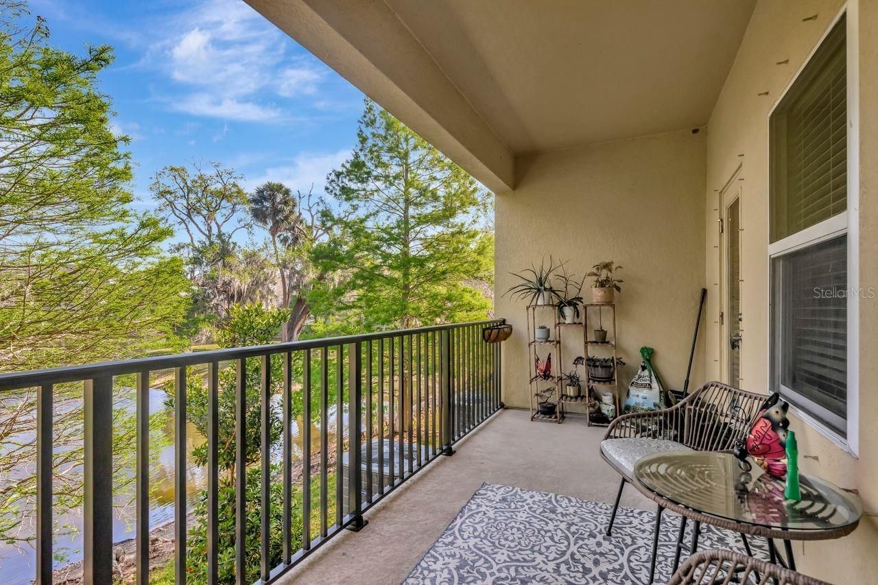 4551 Tuscan Loon Drive, Tampa, FL 33619 Photo