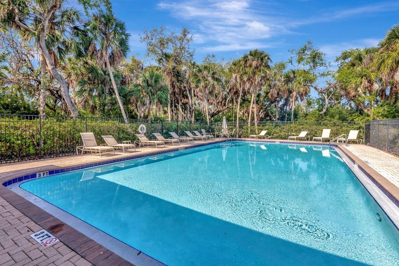 4551 Tuscan Loon Drive, Tampa, FL 33619 Photo