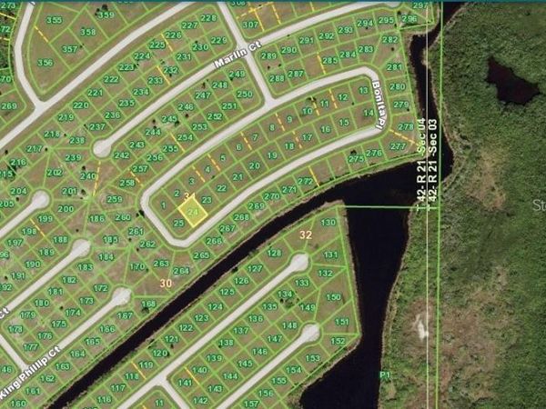 12319 BONITA PLACE , PLACIDA, FL 33946