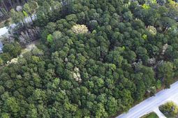 000 Clements Ferry Road photo 4