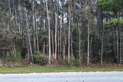 000 Clements Ferry Road photo 4