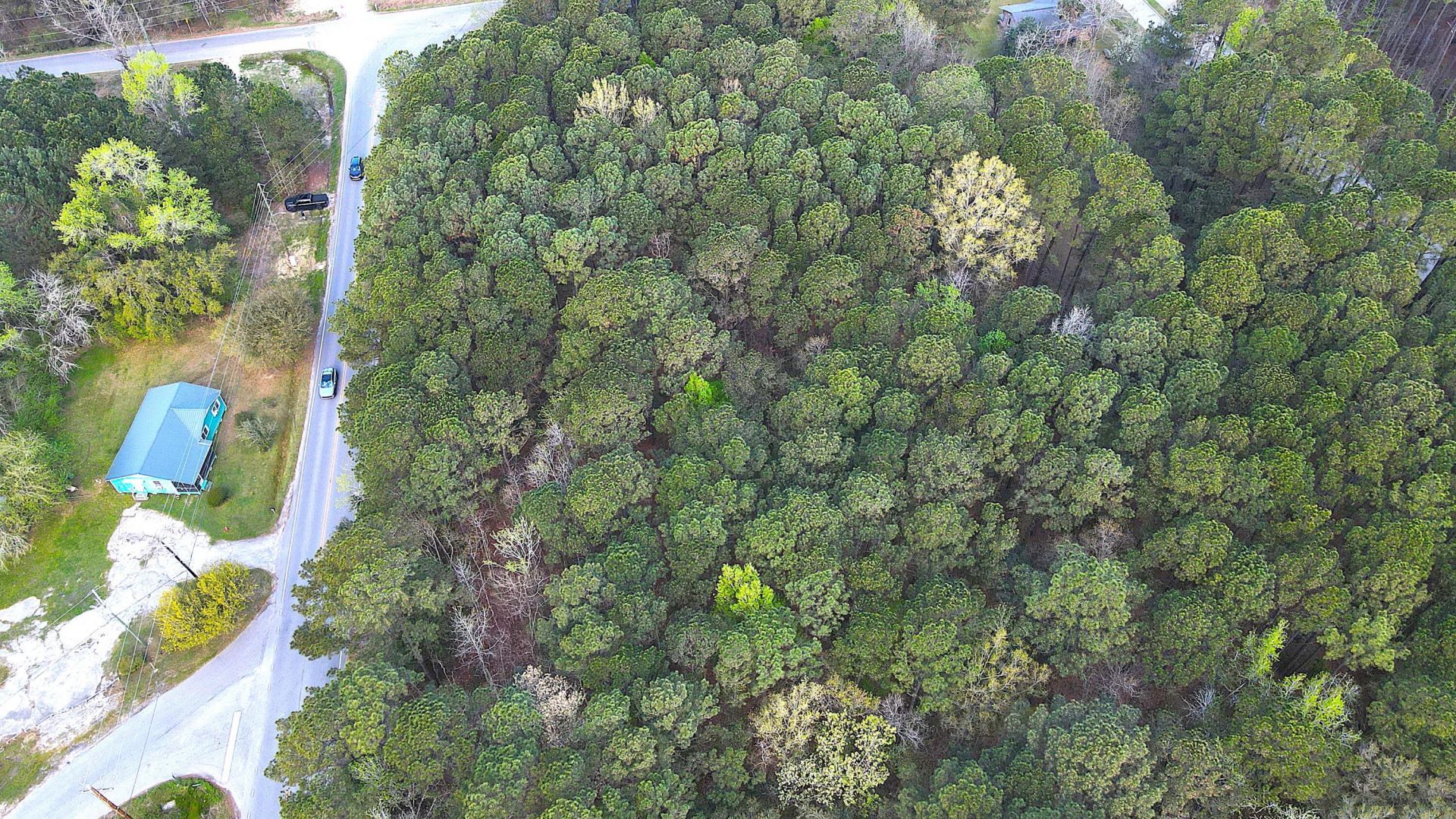 000 Clements Ferry Road Photo 4