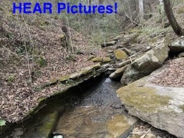 0 Hickory Creek Rd, LaFollette, TN 37766