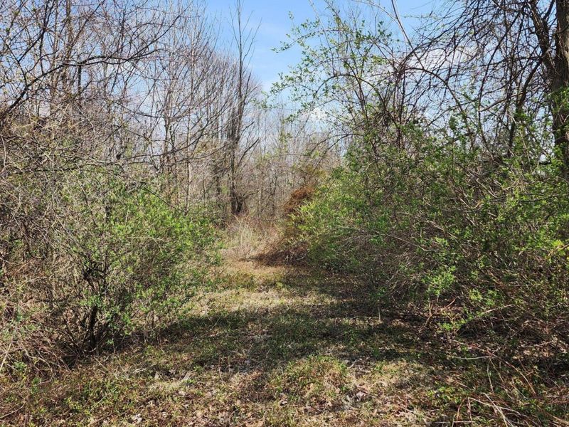 0 Lancaster-Kirkersville Rd. NW Road NW, Baltimore, OH 43105 Photo 3