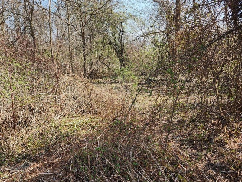 0 Lancaster-Kirkersville Rd. NW Road NW, Baltimore, OH 43105 Photo 4