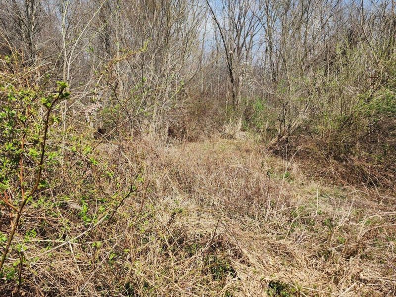 0 Lancaster-Kirkersville Rd. NW Road NW, Baltimore, OH 43105 Photo 5