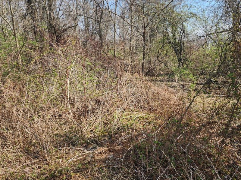 0 Lancaster-Kirkersville Rd. NW Road NW, Baltimore, OH 43105 Photo 6