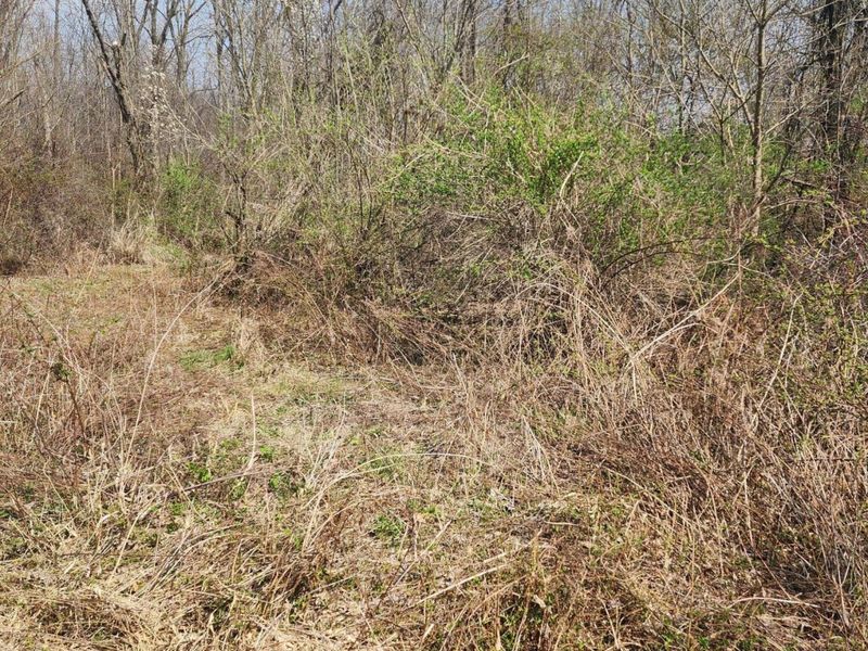 0 Lancaster-Kirkersville Rd. NW Road NW, Baltimore, OH 43105 Photo 7