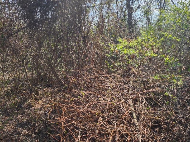 0 Lancaster-Kirkersville Rd. NW Road NW, Baltimore, OH 43105 Photo 8