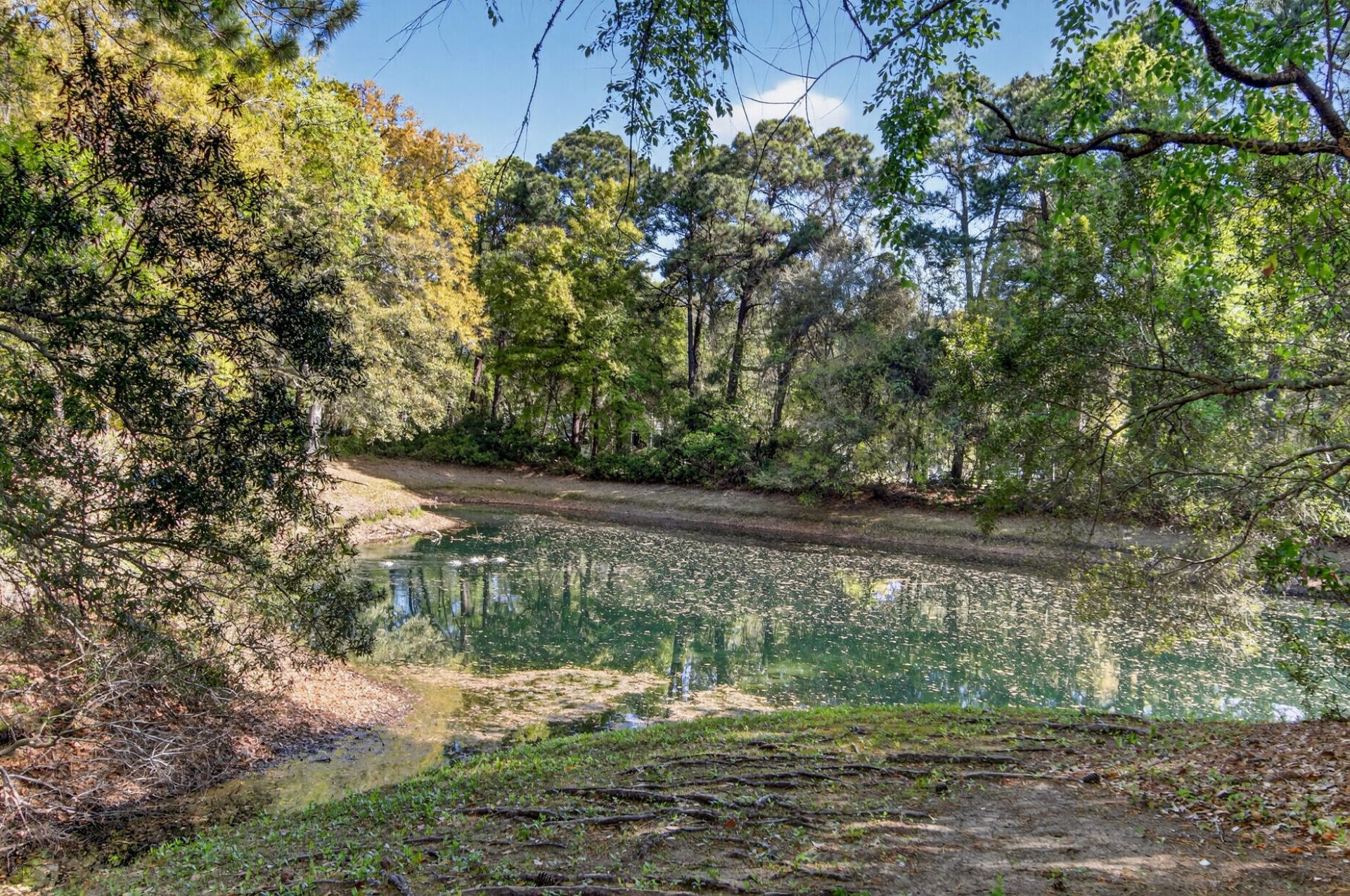 486 Planters Trace Drive Photo 48