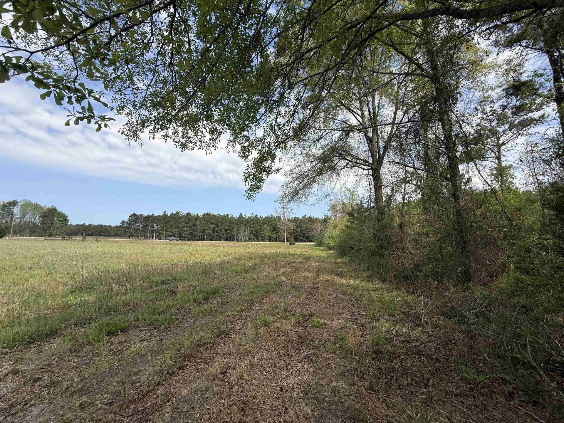 13.32 Ac - 1014 W Highway 378 Bypass  Photo 8