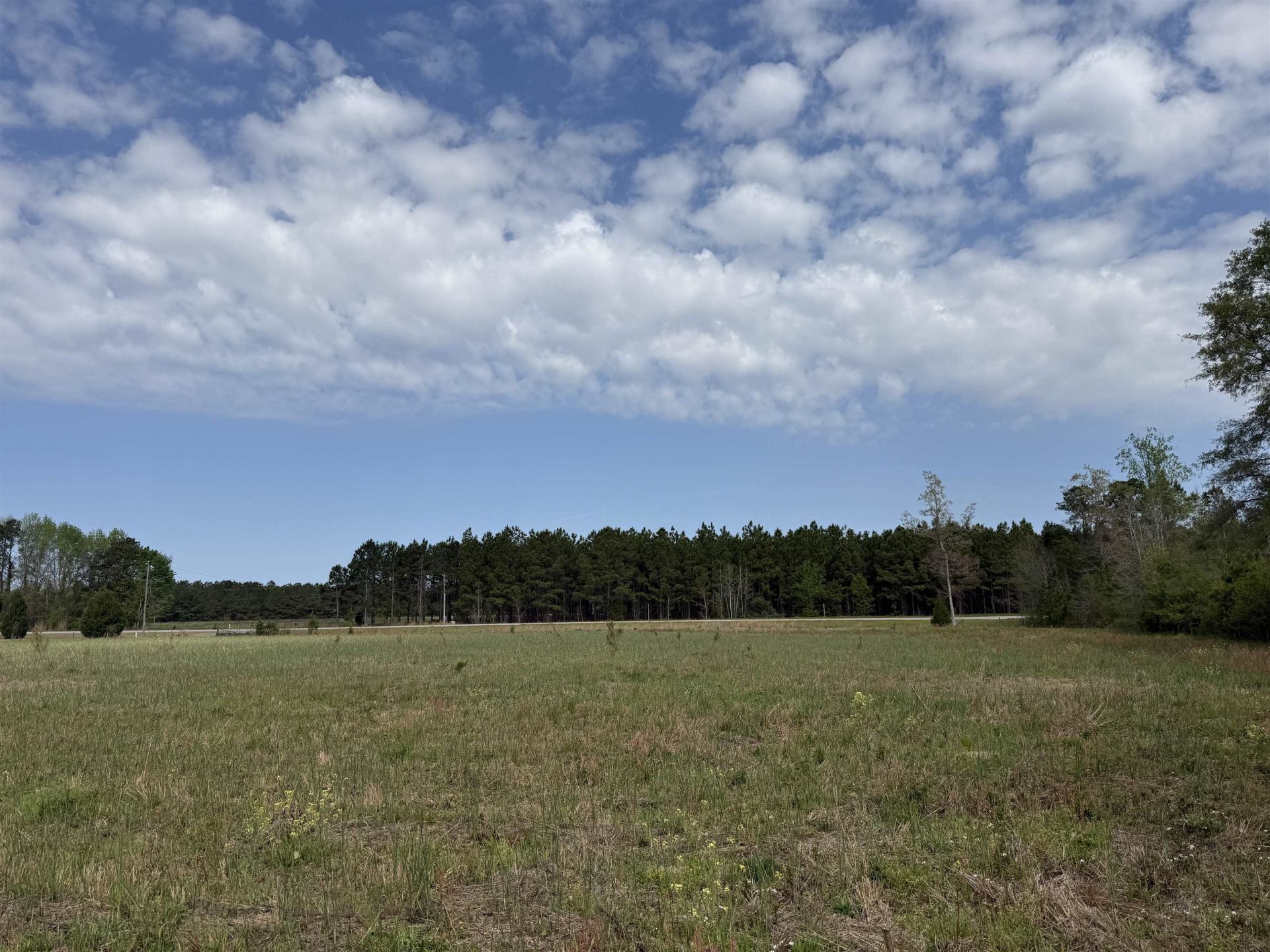 13.32 Ac - 1014 W Highway 378 Bypass  Photo 9