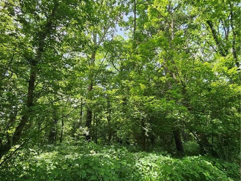 - Depot Road, Milford Township, OH 45013 Photo 10