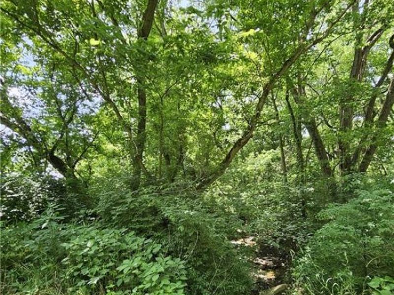 - Depot Road, Milford Township, OH 45013 Photo 5