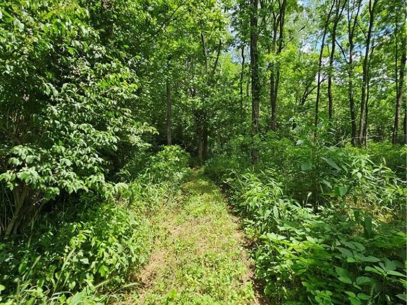 - Depot Road, Milford Township, OH 45013 Photo 6