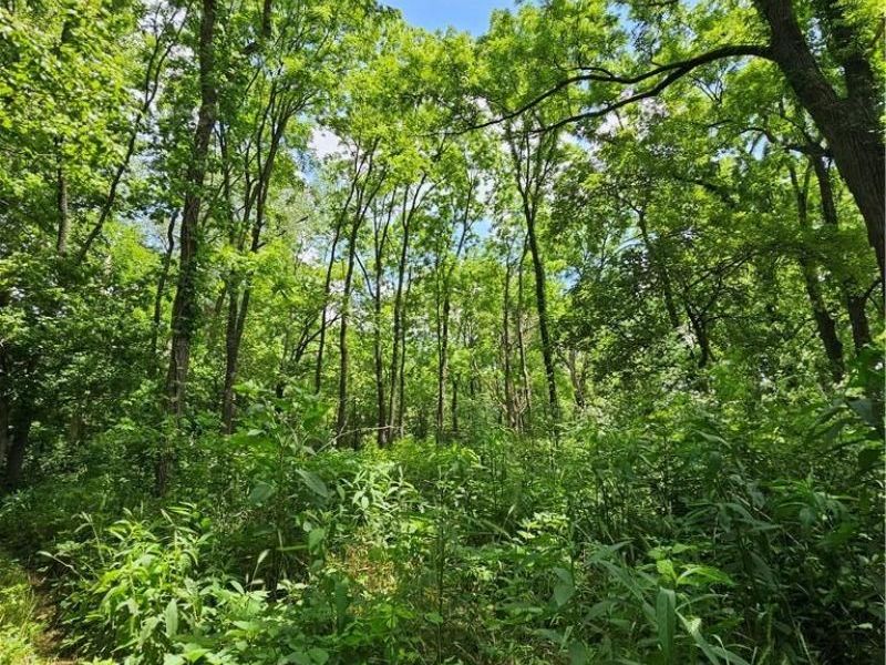 - Depot Road, Milford Township, OH 45013 Photo 7