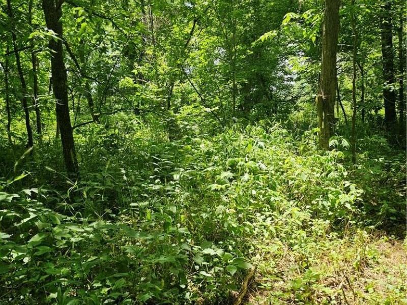 - Depot Road, Milford Township, OH 45013 Photo 9