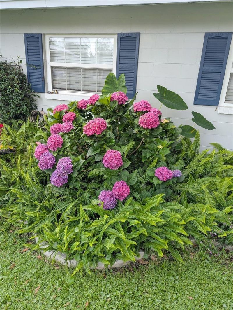 228 SE Oak Hill Street, Lake City, FL 32025 Photo