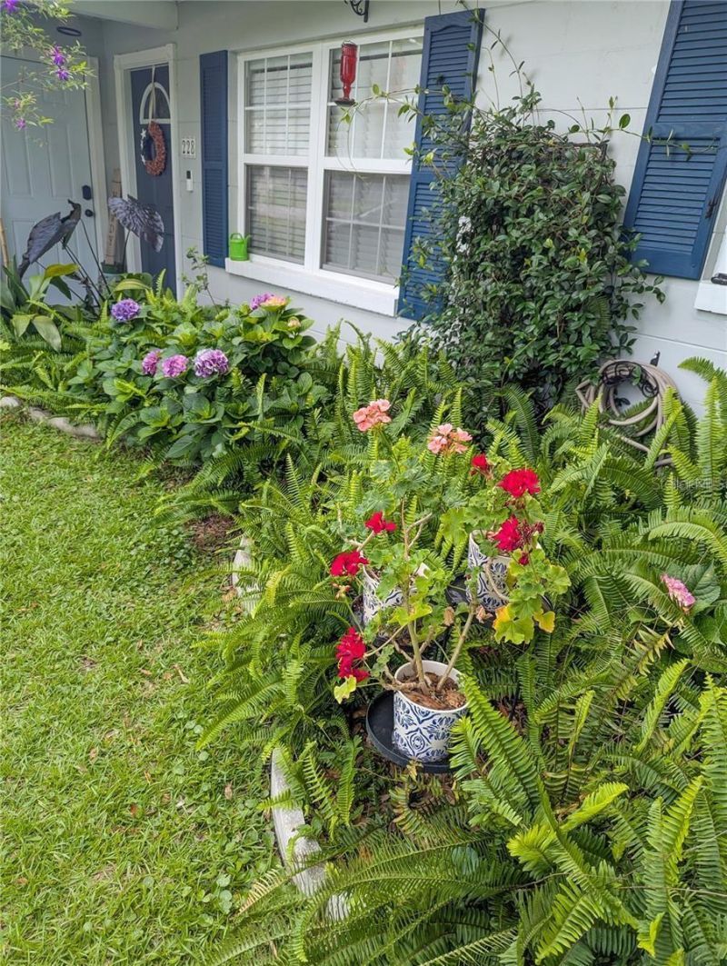 228 SE Oak Hill Street, Lake City, FL 32025 Photo