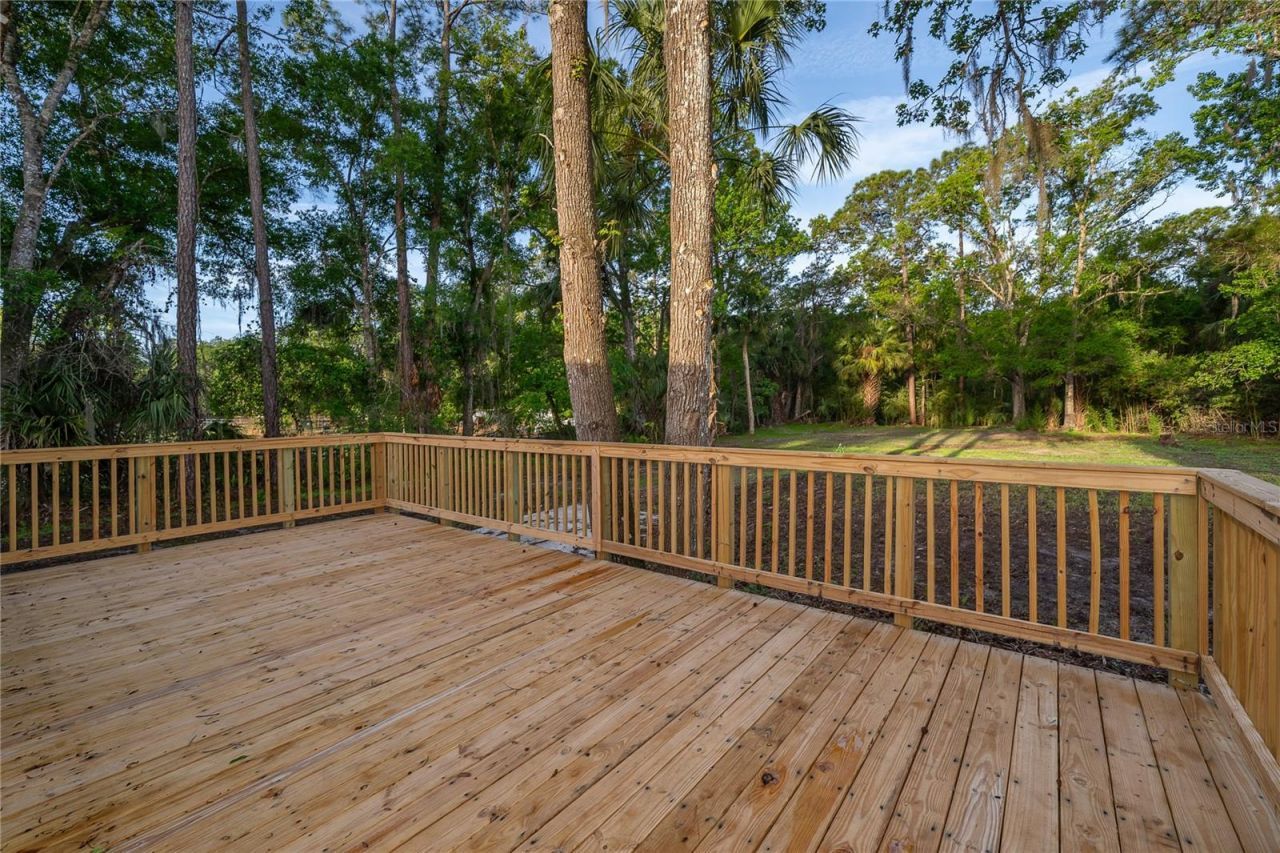 1116 Cupid Avenue, Christmas, FL 32709 Photo