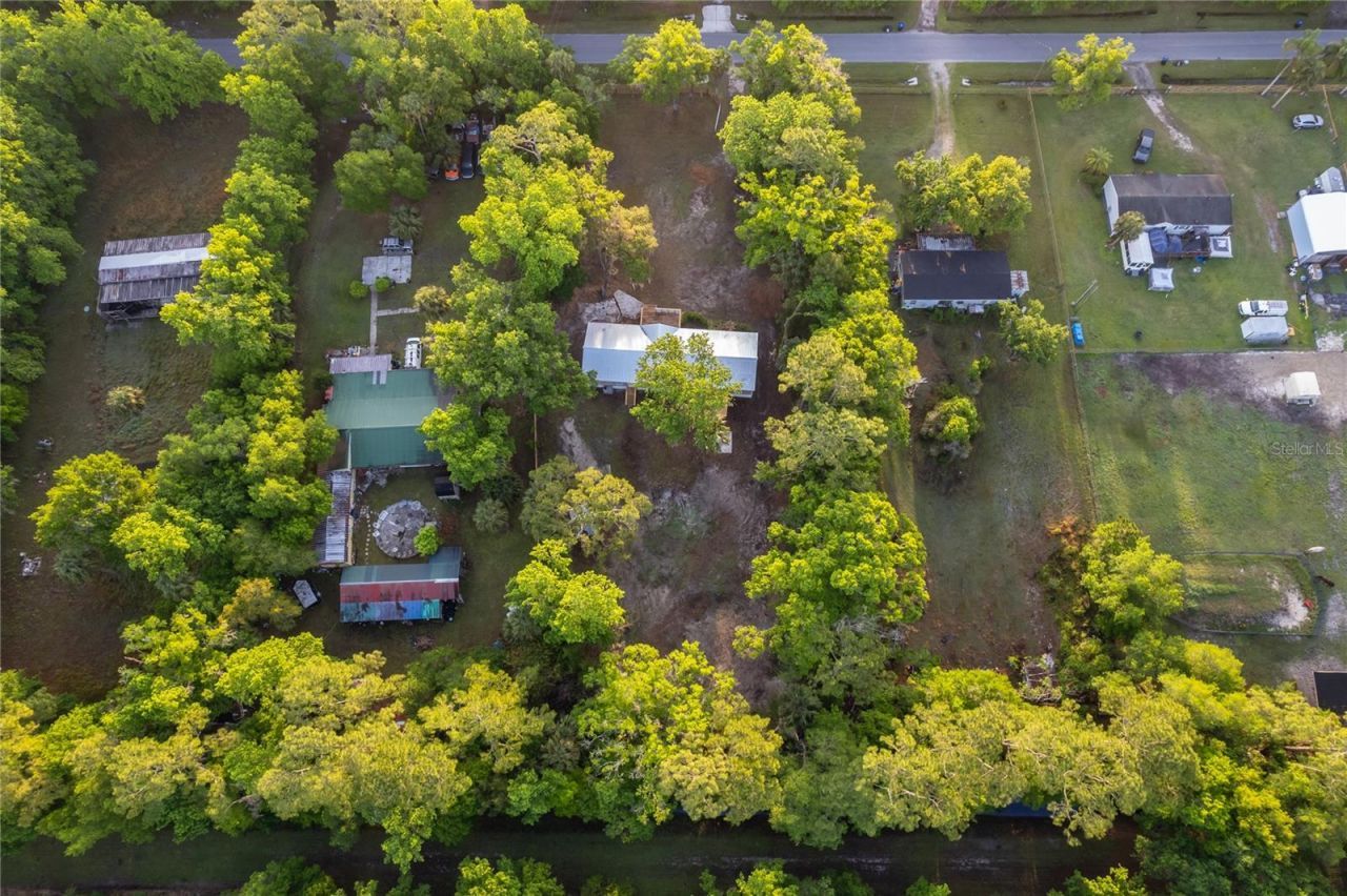 1116 Cupid Avenue, Christmas, FL 32709 Photo