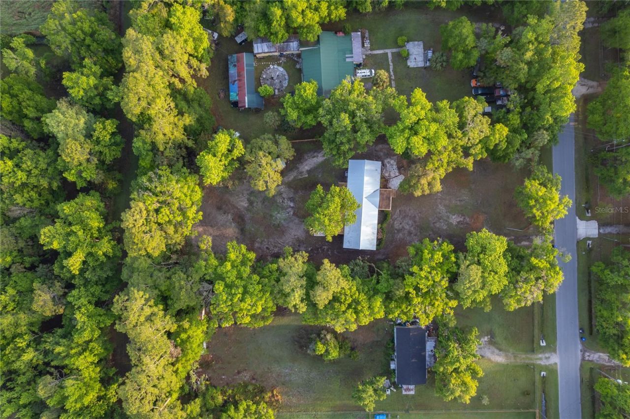 1116 Cupid Avenue, Christmas, FL 32709 Photo