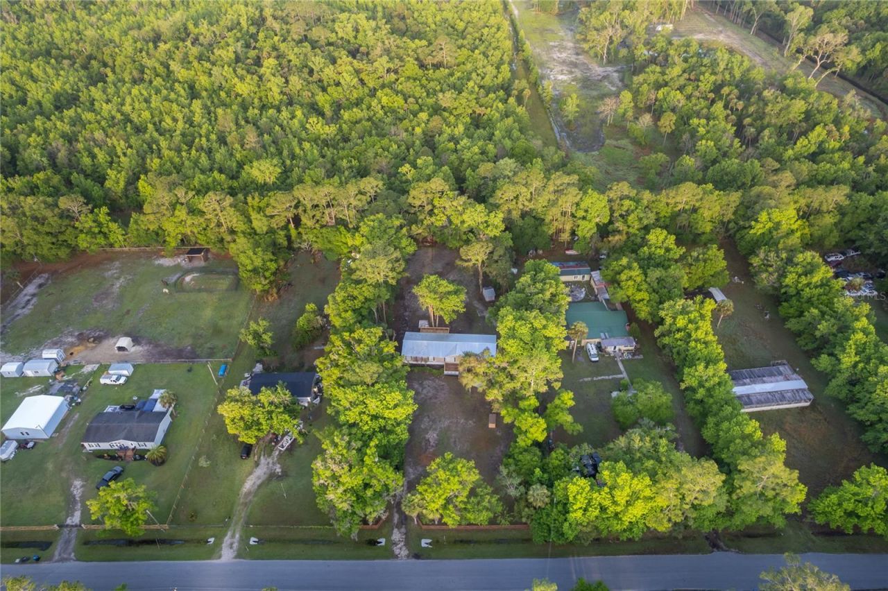 1116 Cupid Avenue, Christmas, FL 32709 Photo