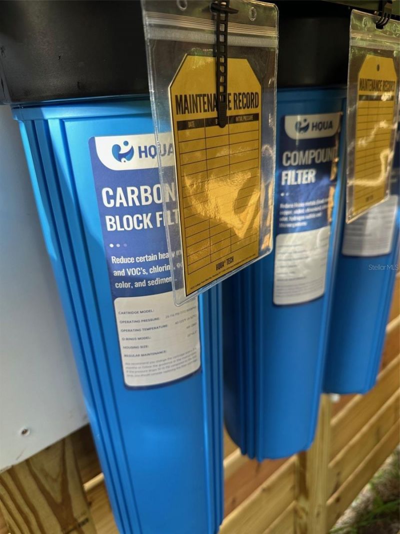 1116 Cupid Avenue, Christmas, FL 32709 Photo