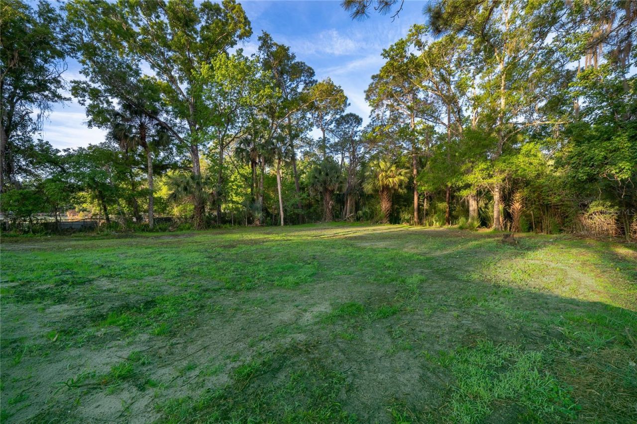 1116 Cupid Avenue, Christmas, FL 32709 Photo