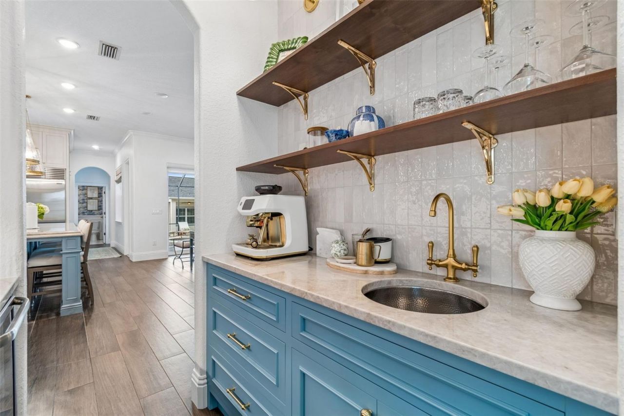 8603 Alafia Hills, Lithia, FL 33547 Photo