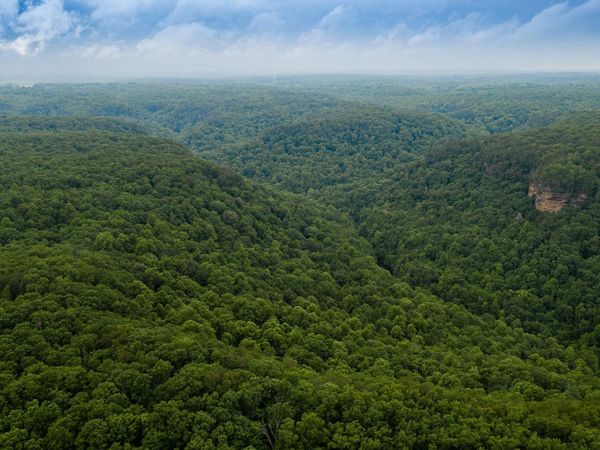 916 N Rim Drive , Coalmont, TN 37313