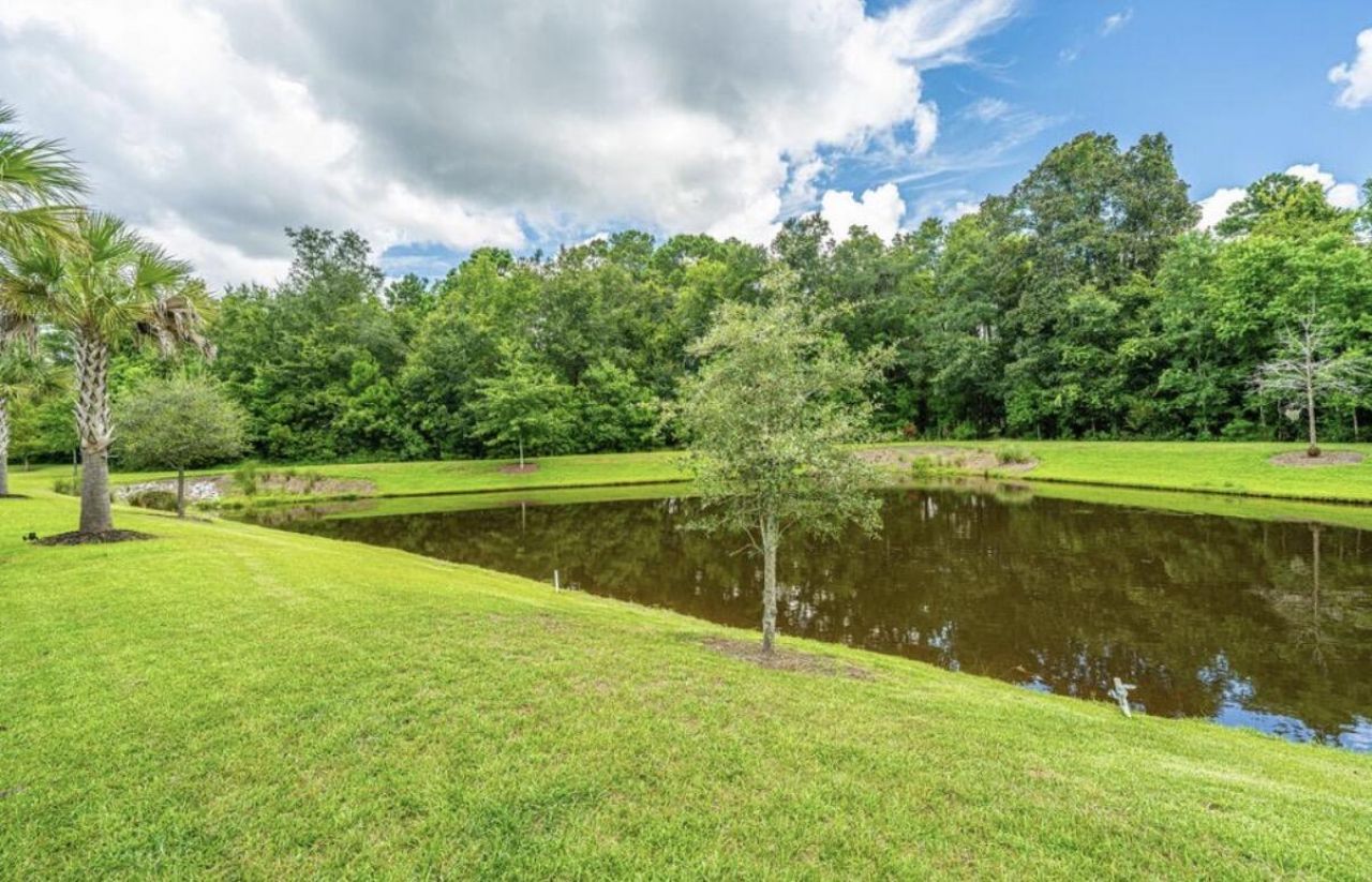 2910 Gantt Drive Photo 16