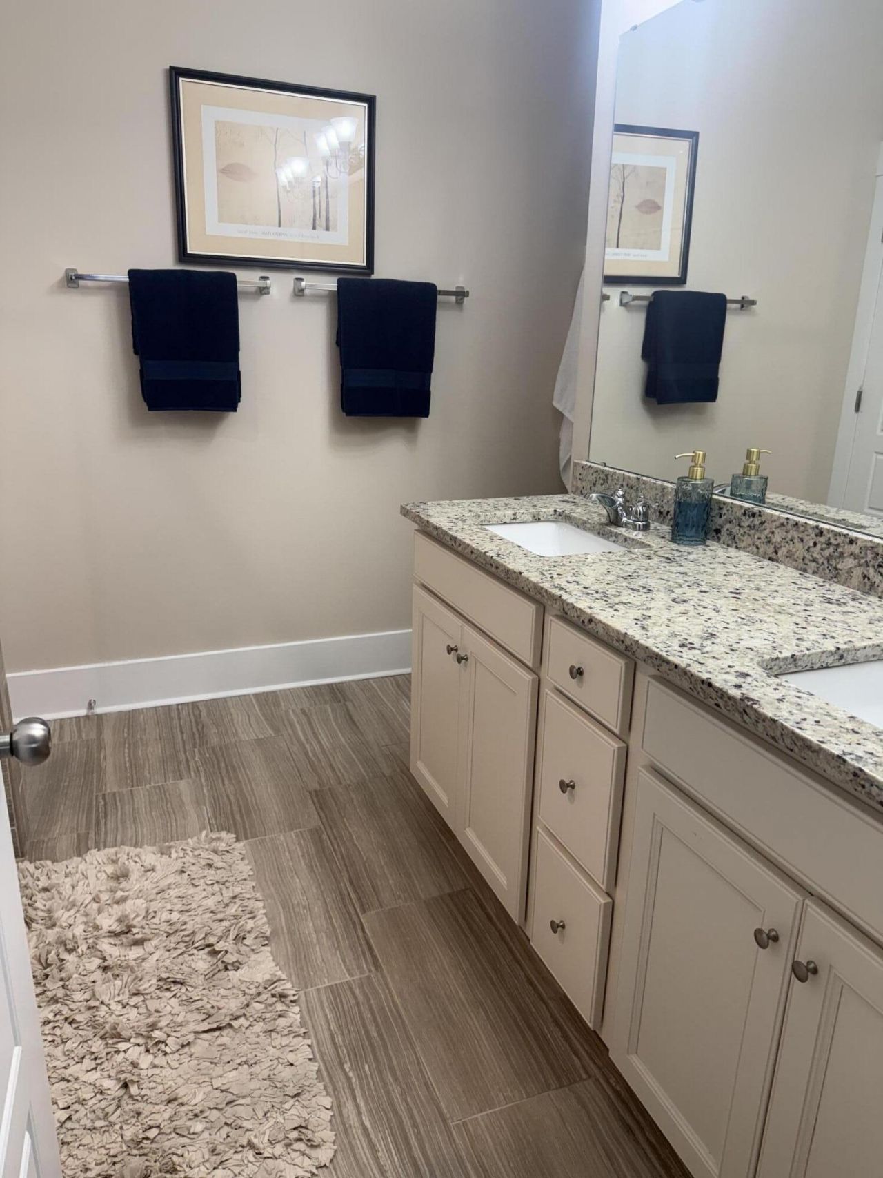 2910 Gantt Drive Photo 25