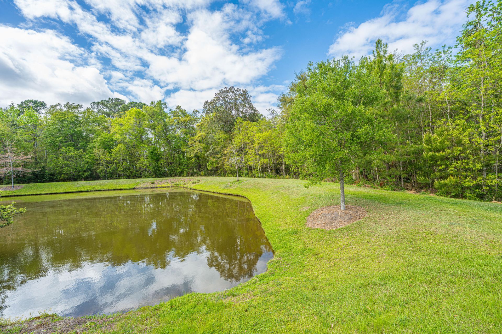 2910 Gantt Drive Photo 55